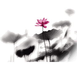 大理日报