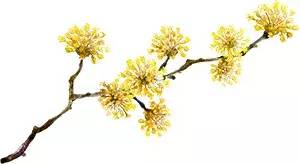 普洱市人民医院