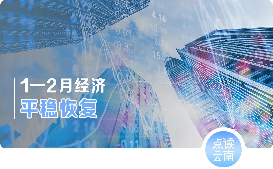 云南省人民政府网