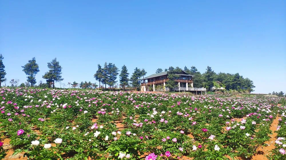 昆明阳宗海风景名胜区(微信)