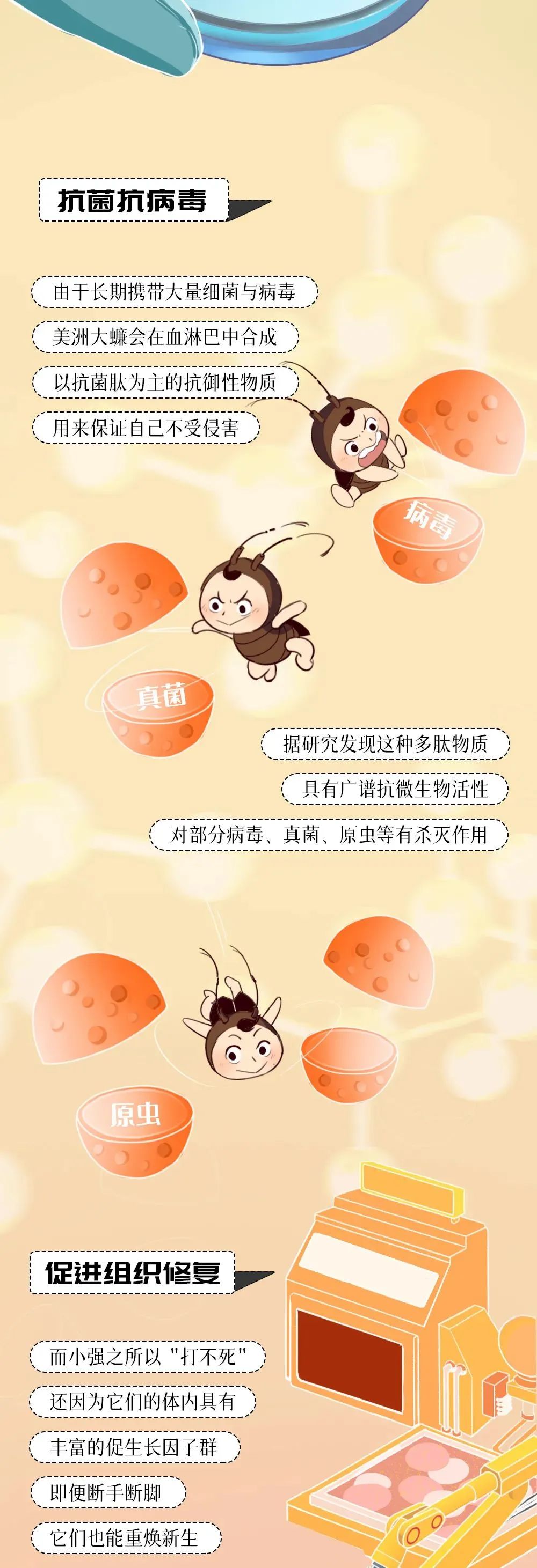 美丽云南微科普