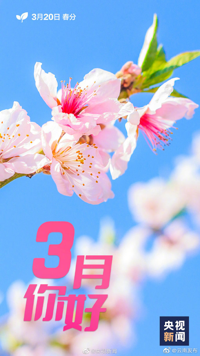 “云南发布”微博