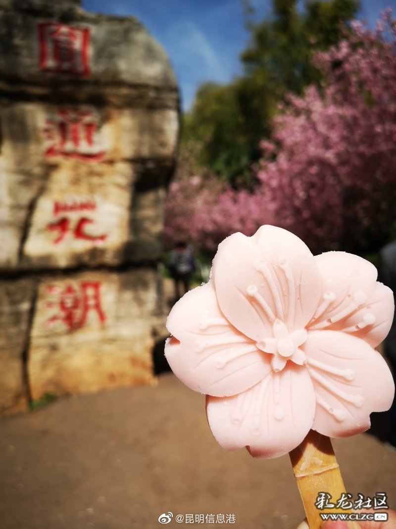 昆明信息港