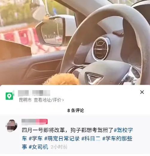 春城晚报