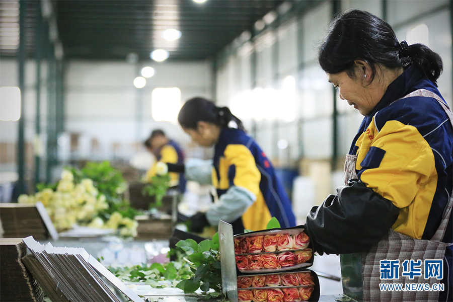 云南省文化和旅游厅