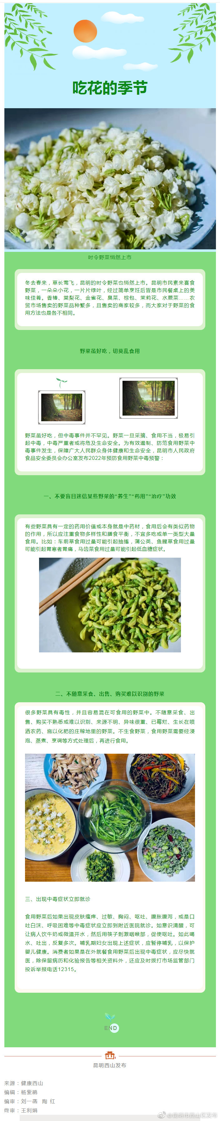 吃花的季节！野菜（花）虽美味，切莫乱食用