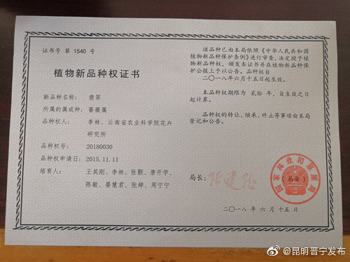昆明晋宁发布