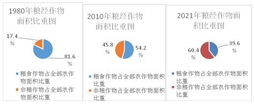 玉溪市人民政府