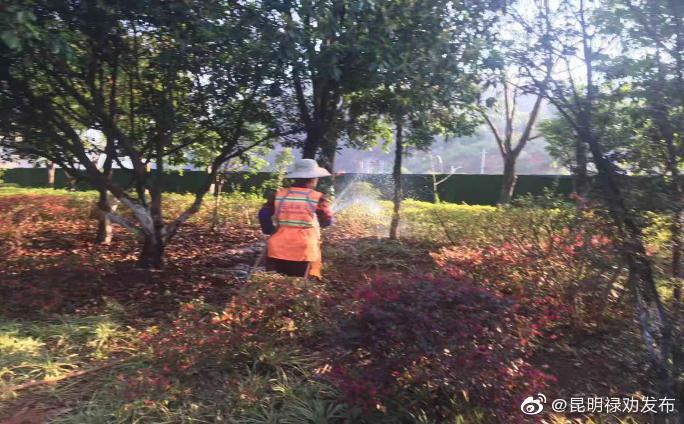 昆明禄劝发布
