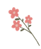 盘龙共青团
