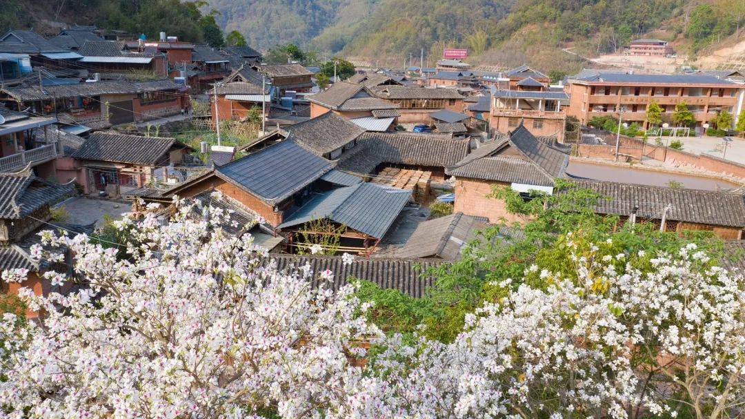 普洱日报