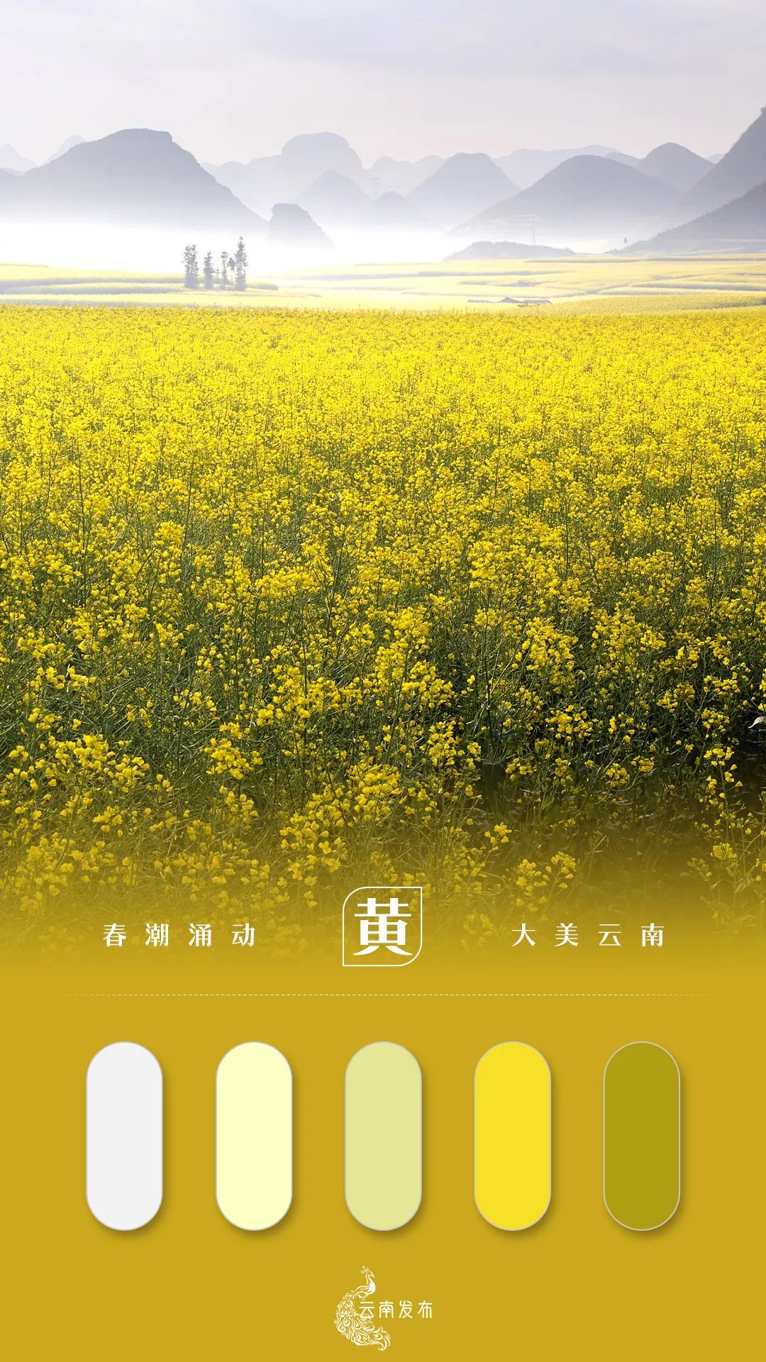 玉溪发布