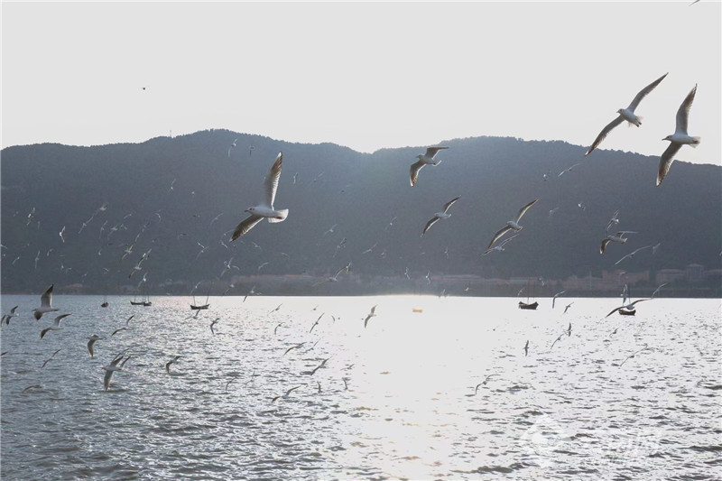 云南省文化和旅游厅