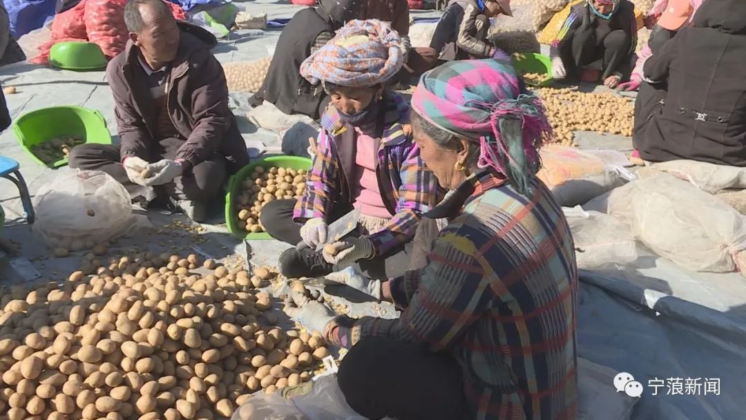 丽江日报