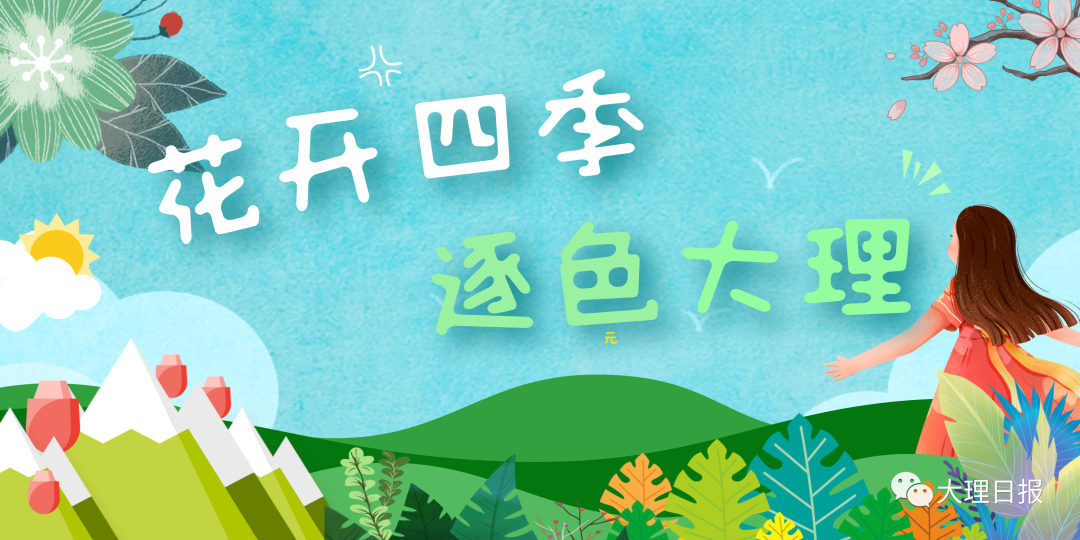 大理日报