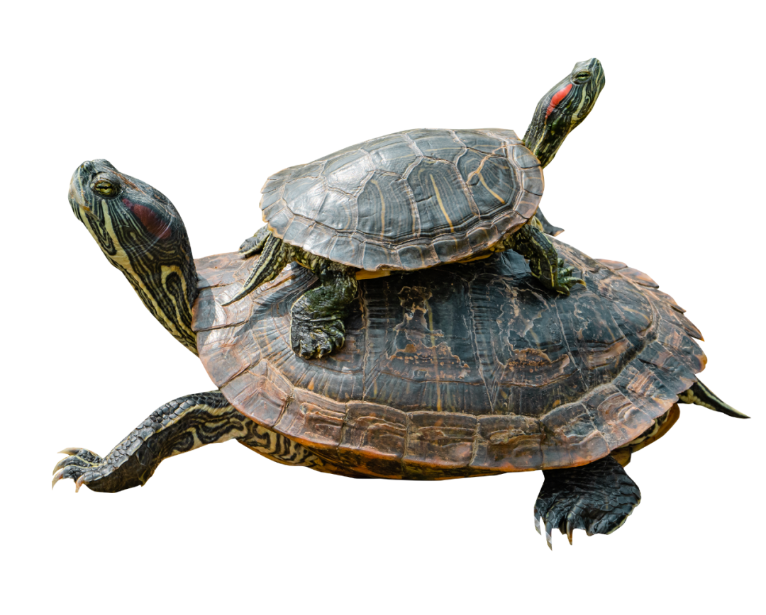 昆明信息港/cnkmxxg