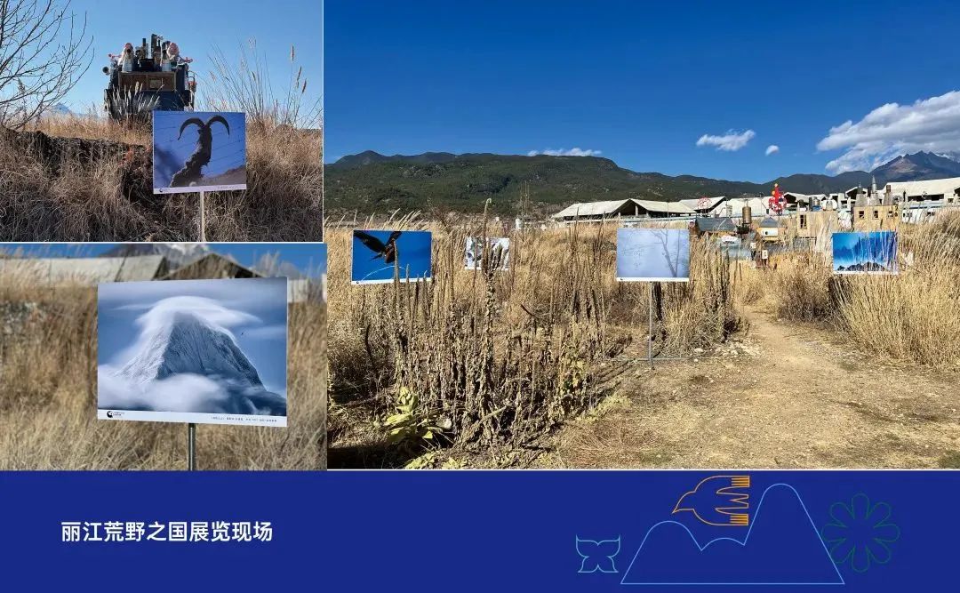 微丽江
