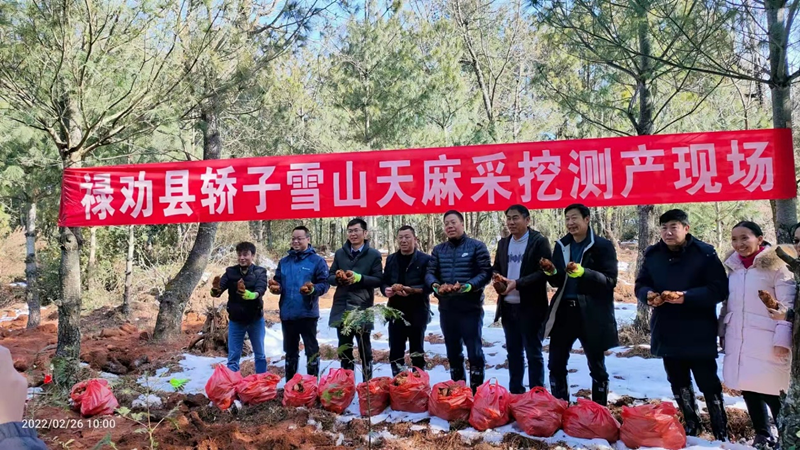 昆明市农业局