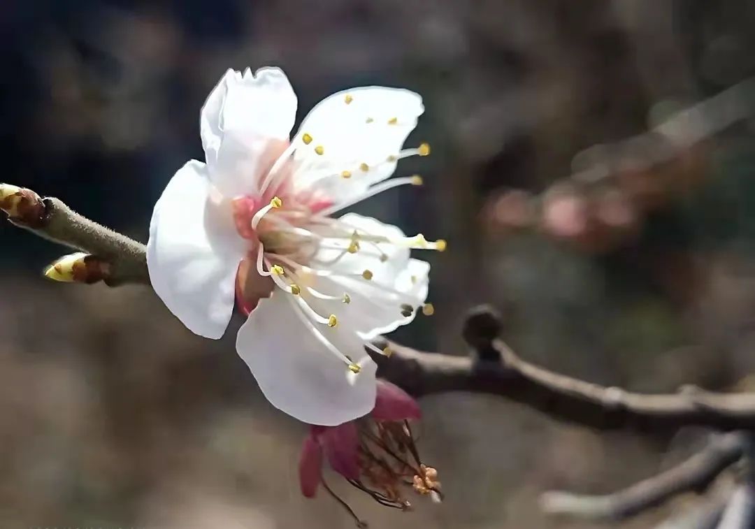 大理电视台