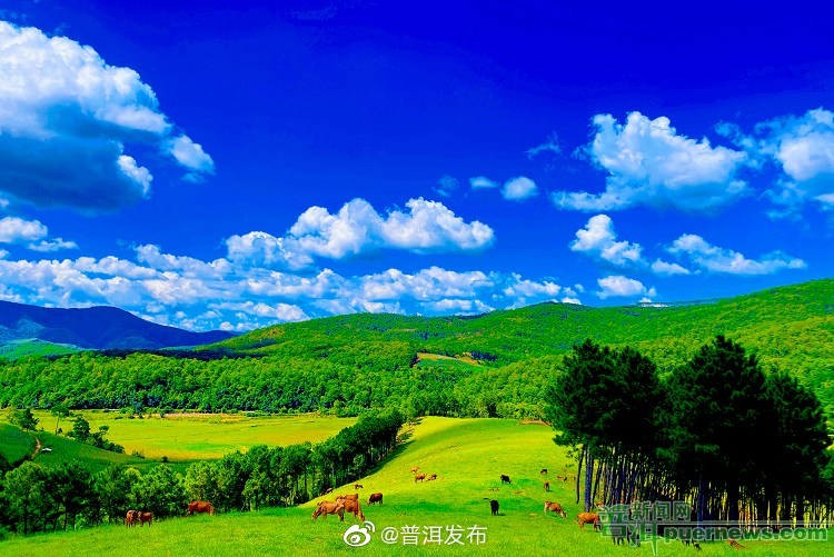 云南省首笔林业碳汇质押融资贷款项目落户云景林纸