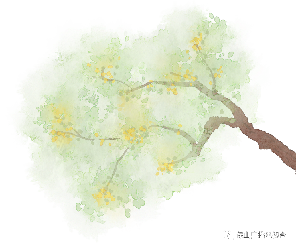 保山广播电视台