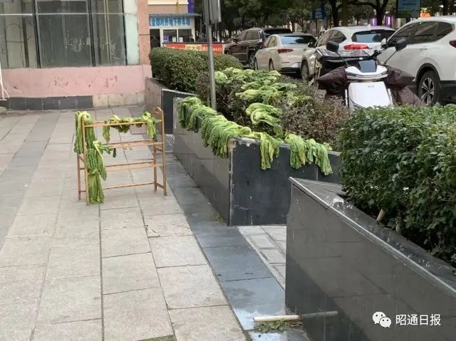 昭通日报