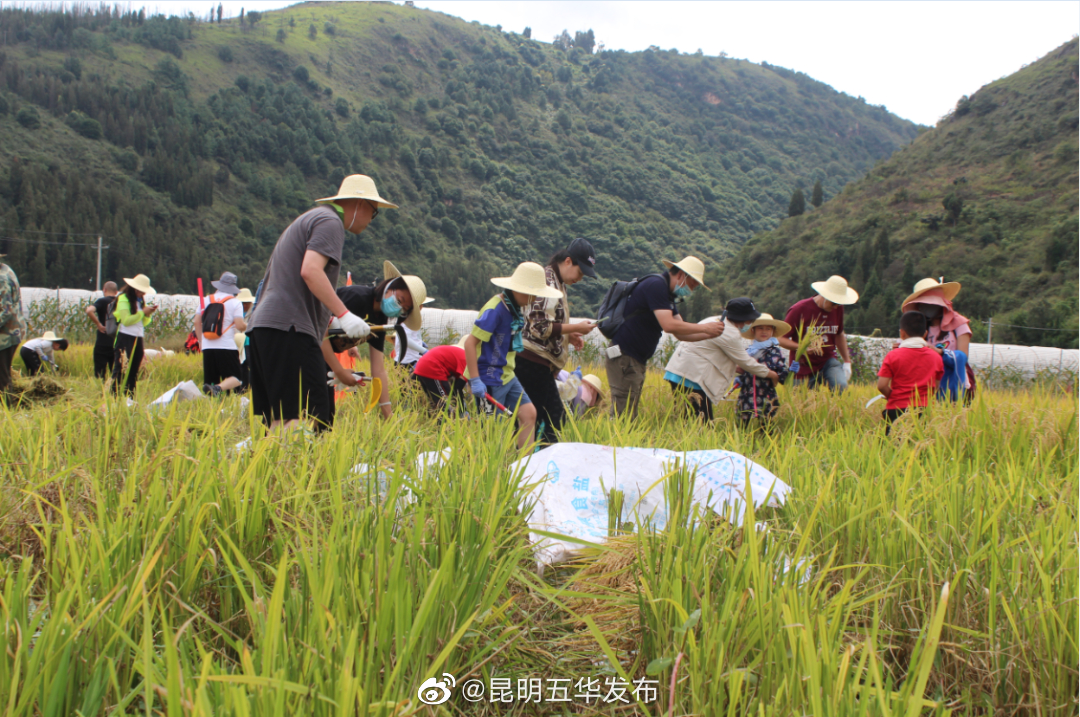 “昆明五华发布”微博