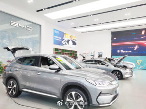 成本涨补贴降 新能源汽车“组团”涨价