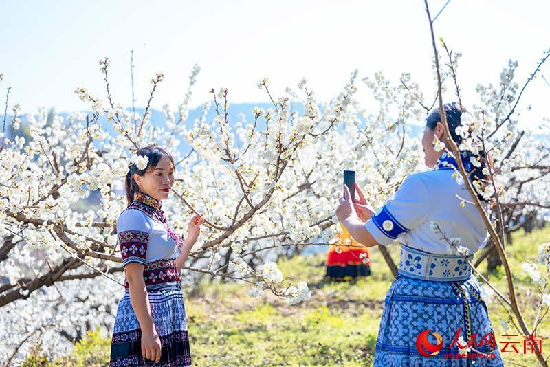 云南省文化和旅游厅