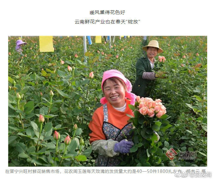 呈贡发布