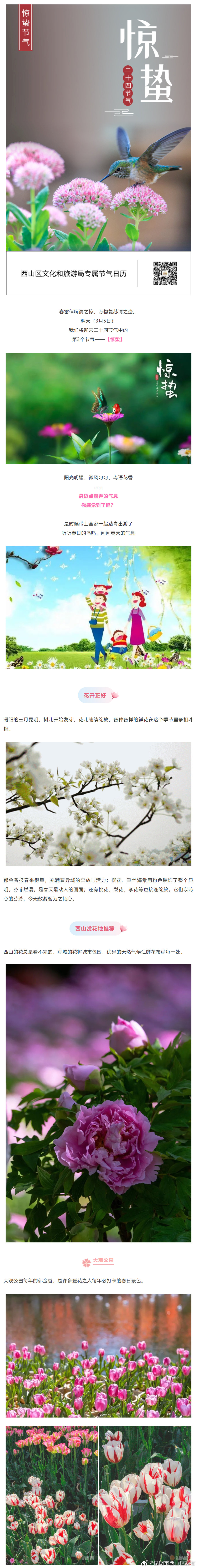 “昆明市西山区发布”微博