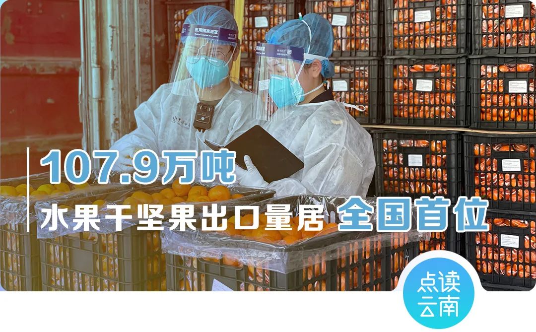 云南省人民政府网