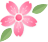 大理日报