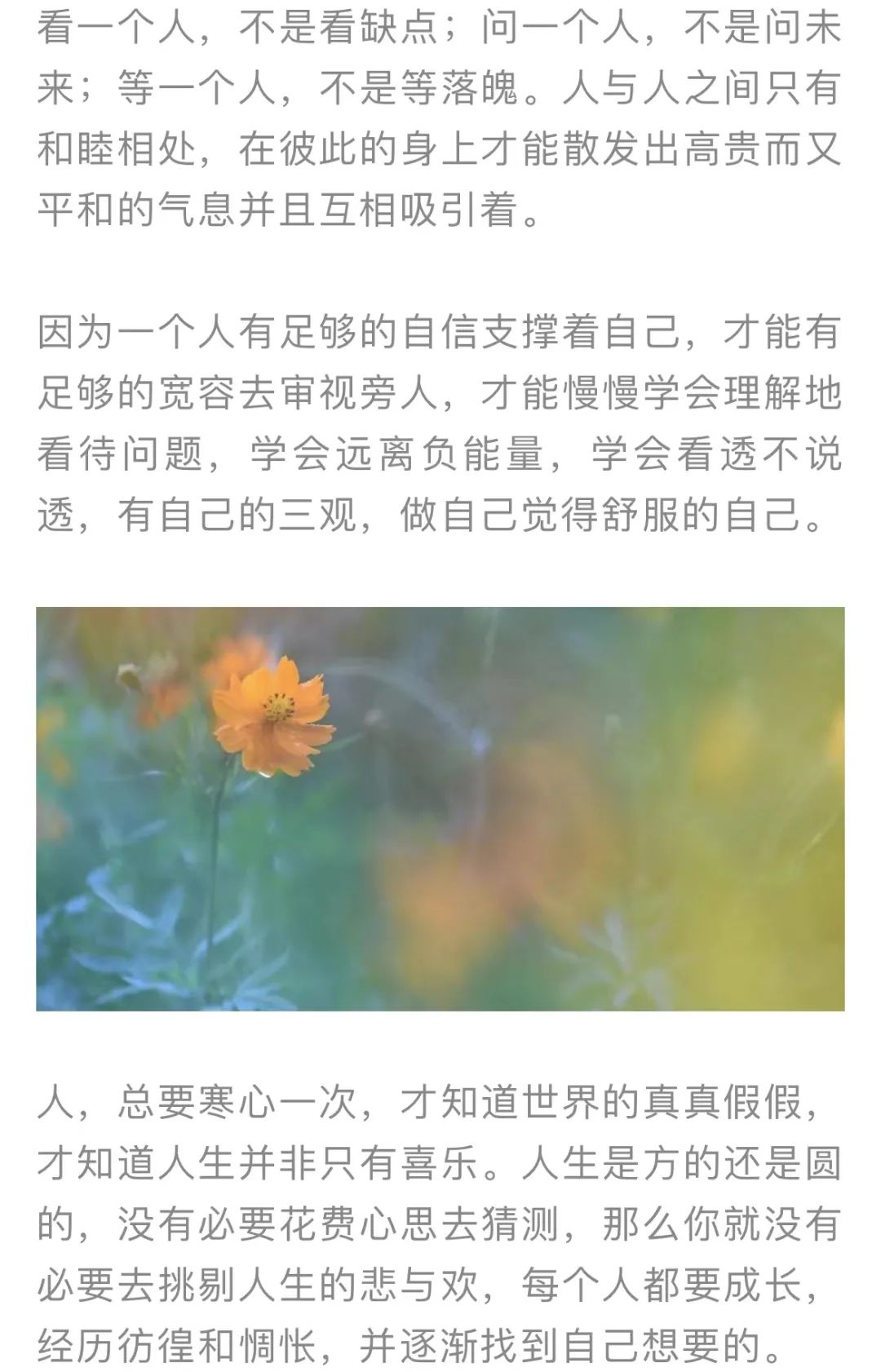 红色扎西