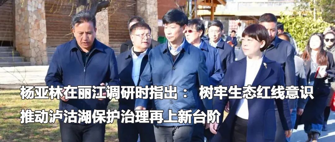 云南政法