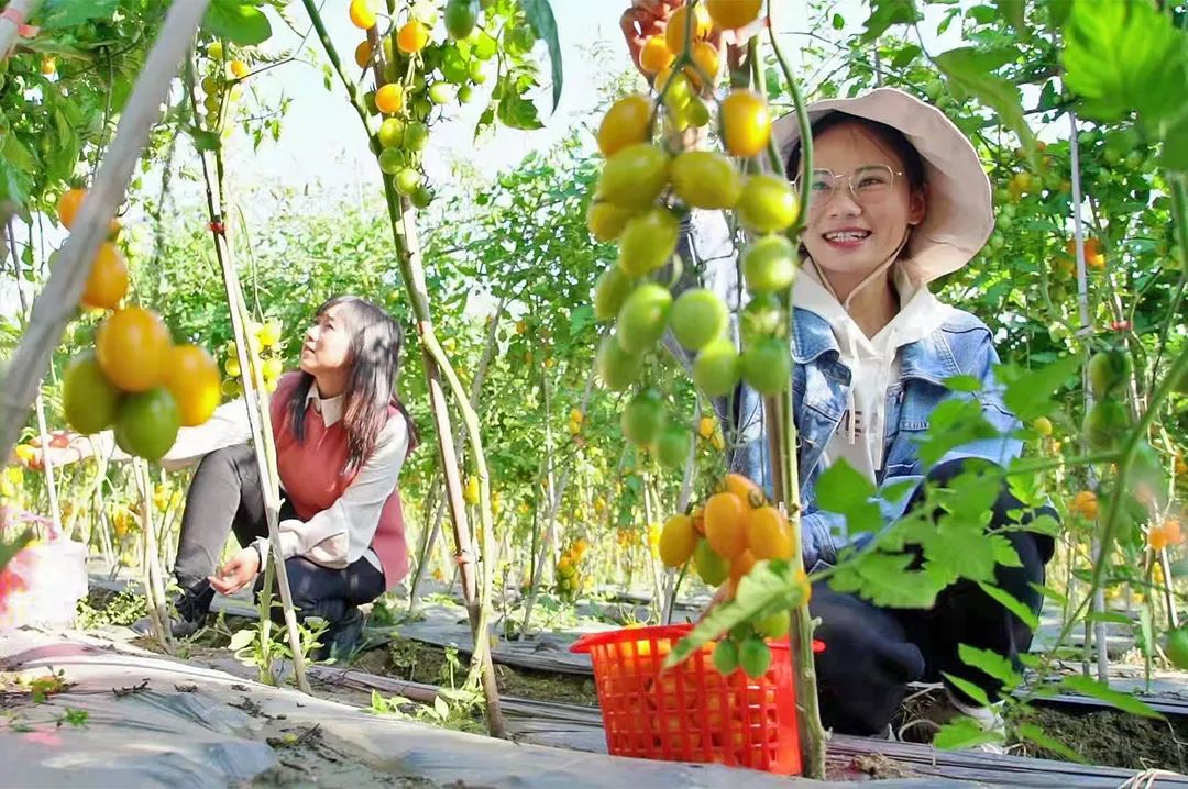 保山广播电视台