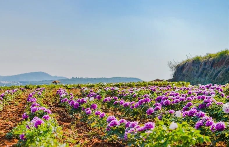 昆明阳宗海风景名胜区(微信)