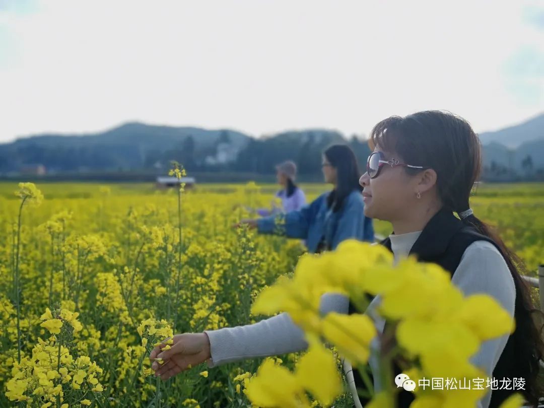 保山新闻网