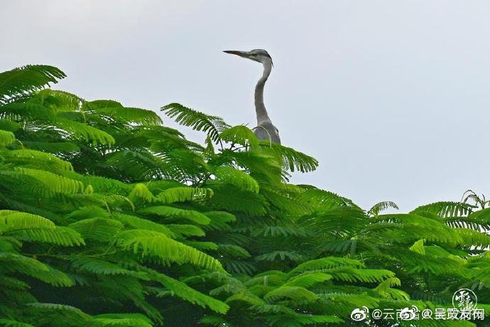 呈贡发布