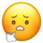 云南信息报