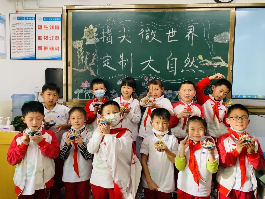 盘龙教育(微信)