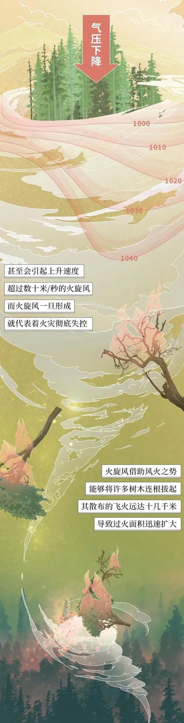 迪庆日报传媒