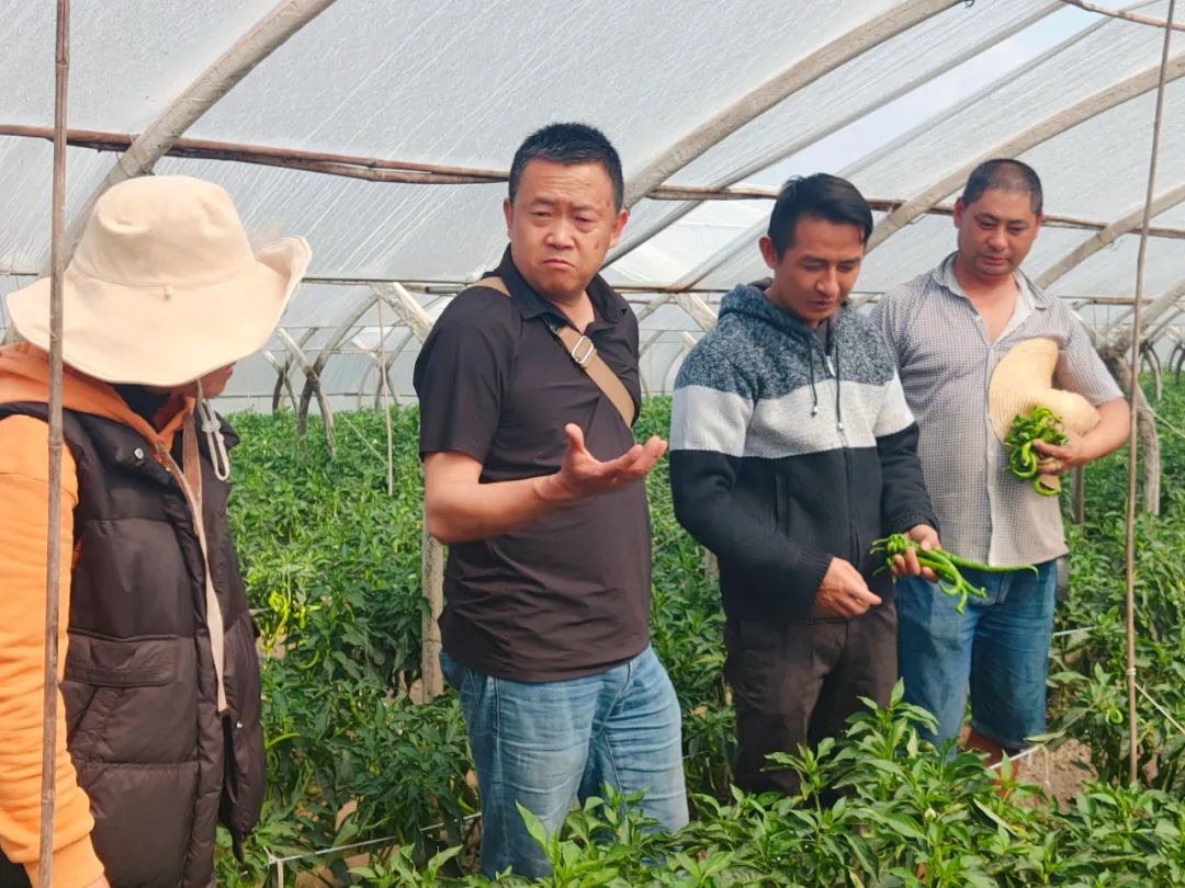 保山新闻网