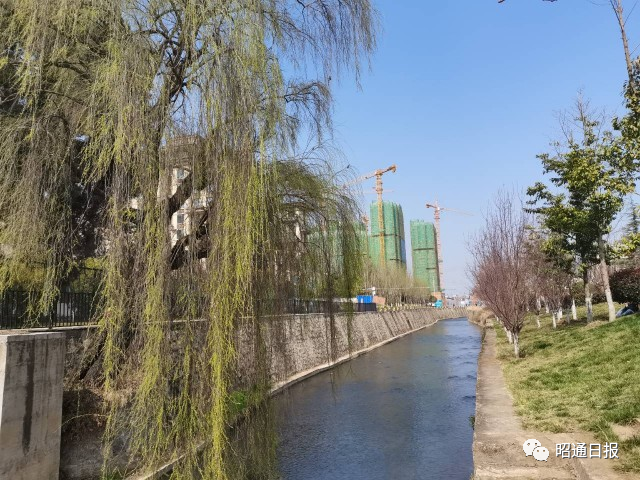 红色扎西
