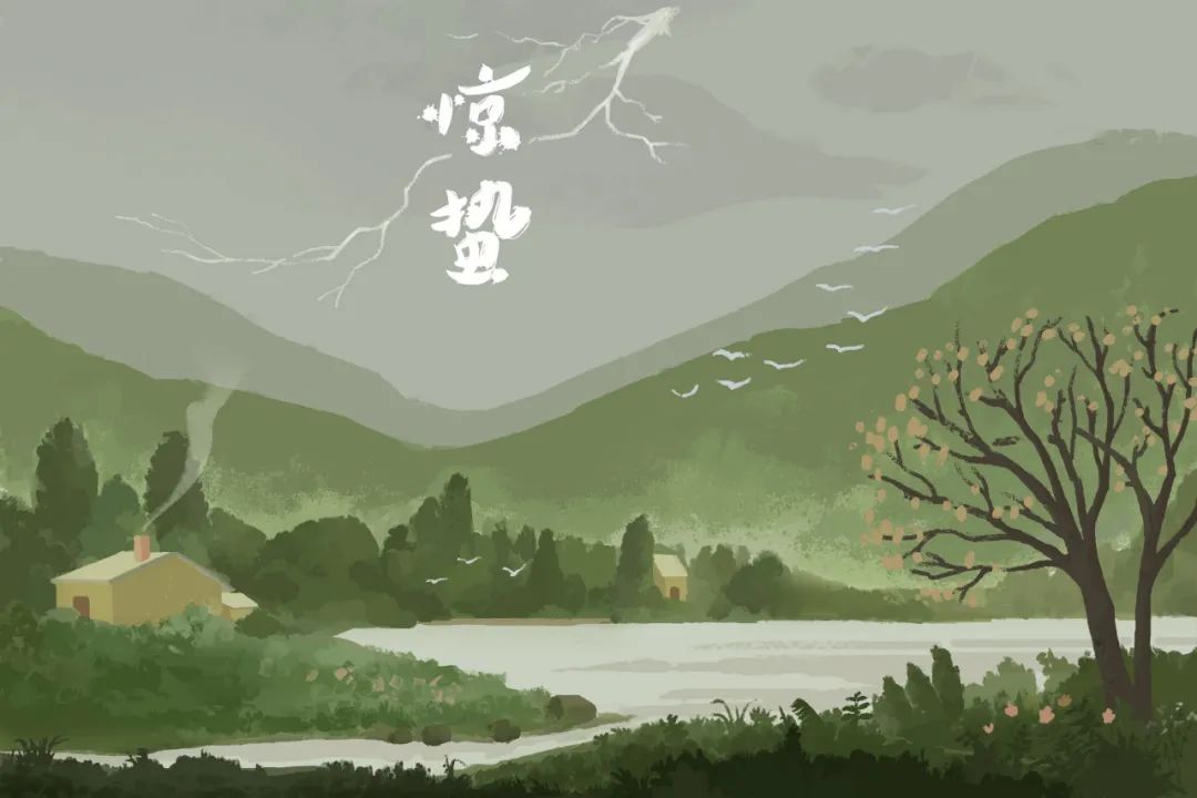 大理电视台