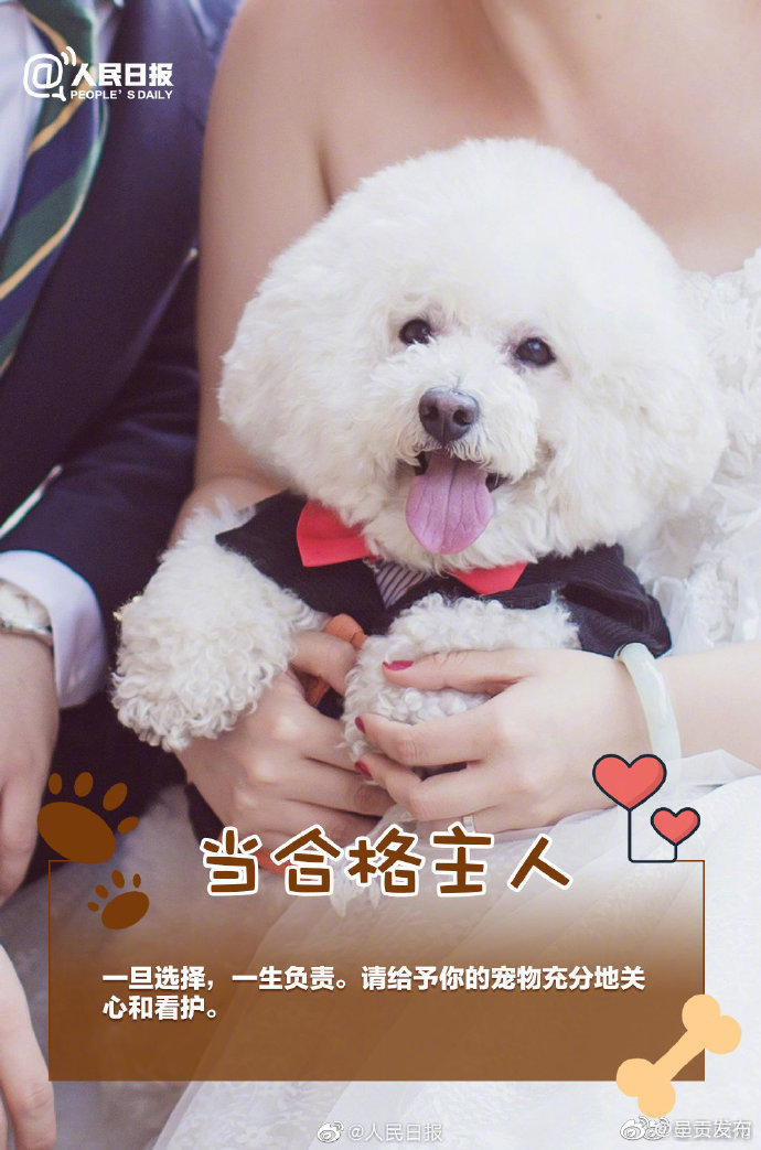 呈贡发布