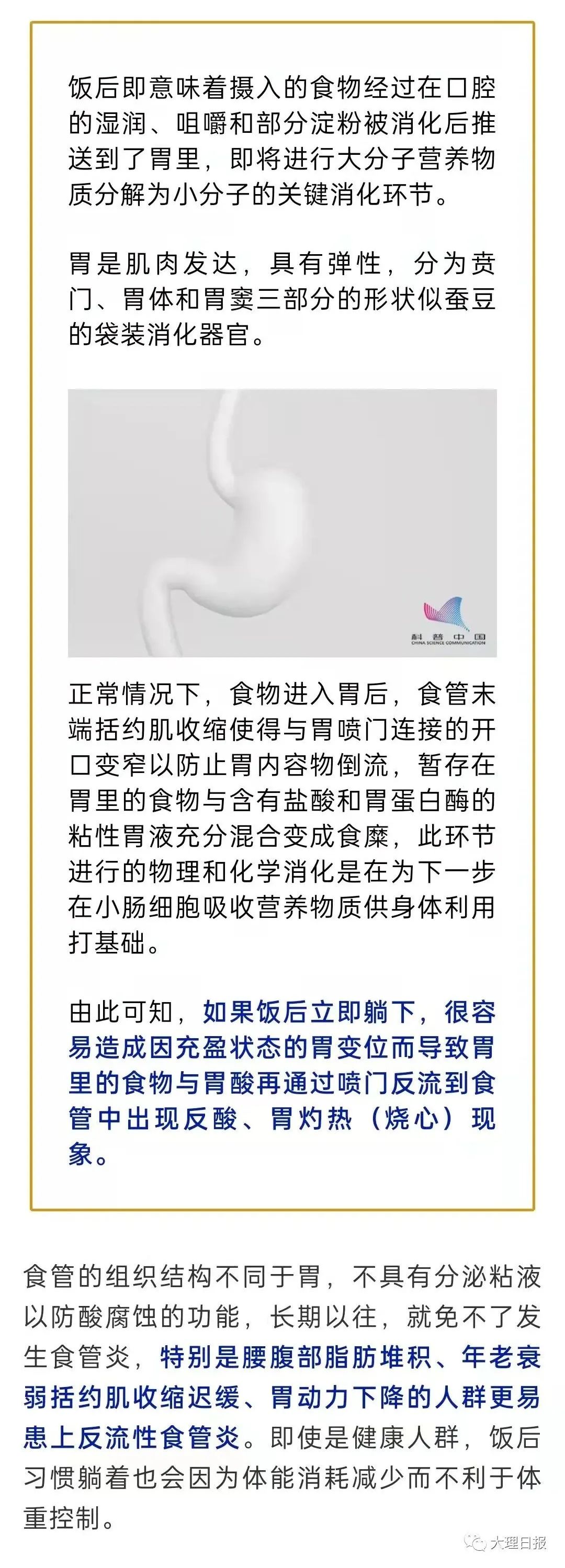 大理日报