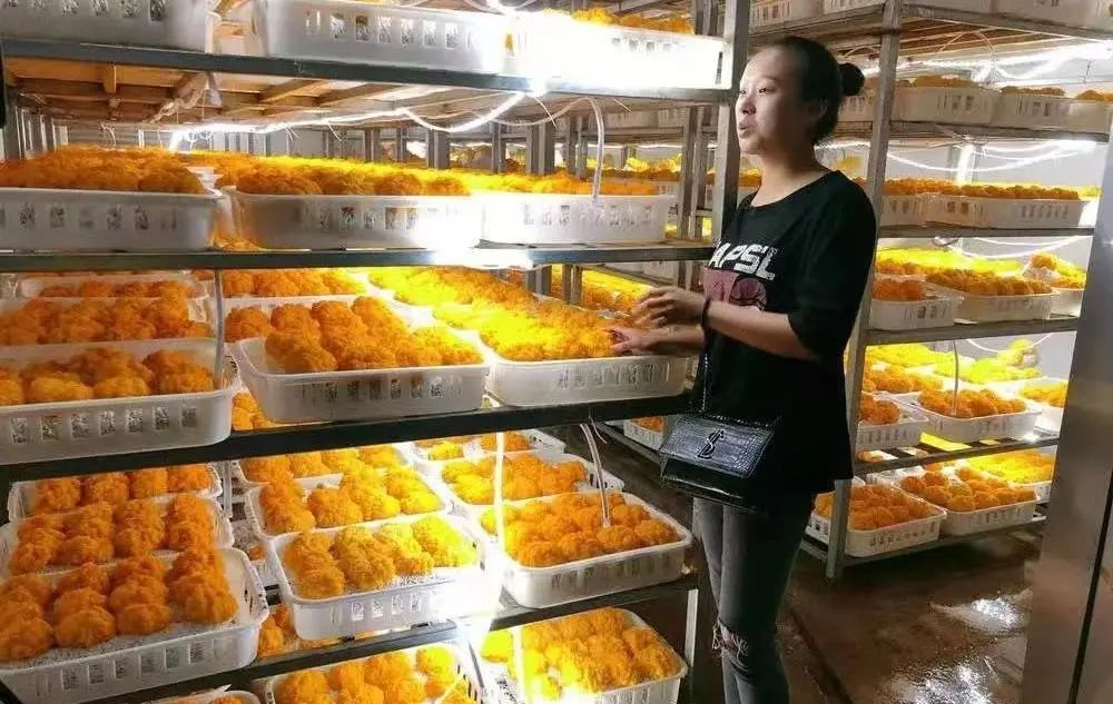 嵩明招商(微信)