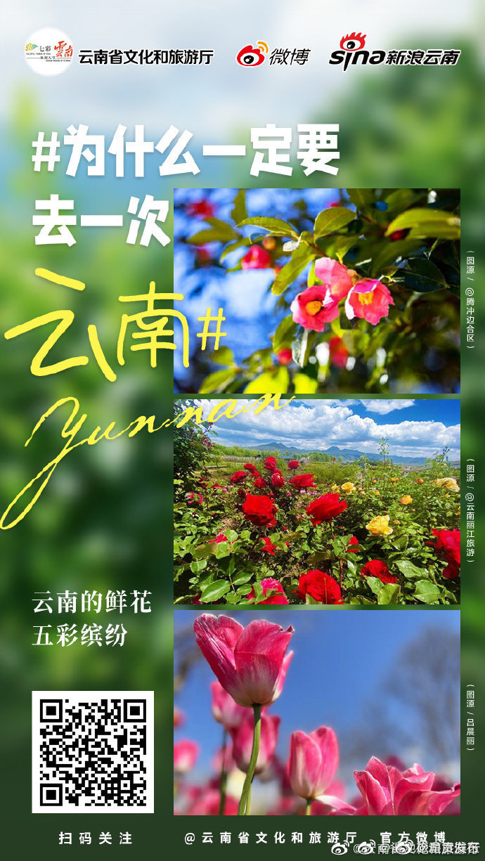 呈贡发布