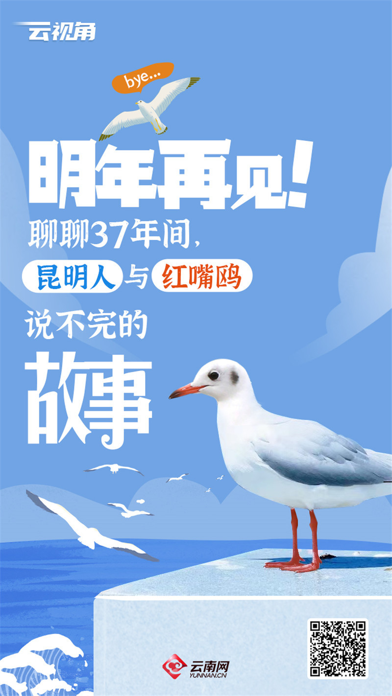云南省文化和旅游厅